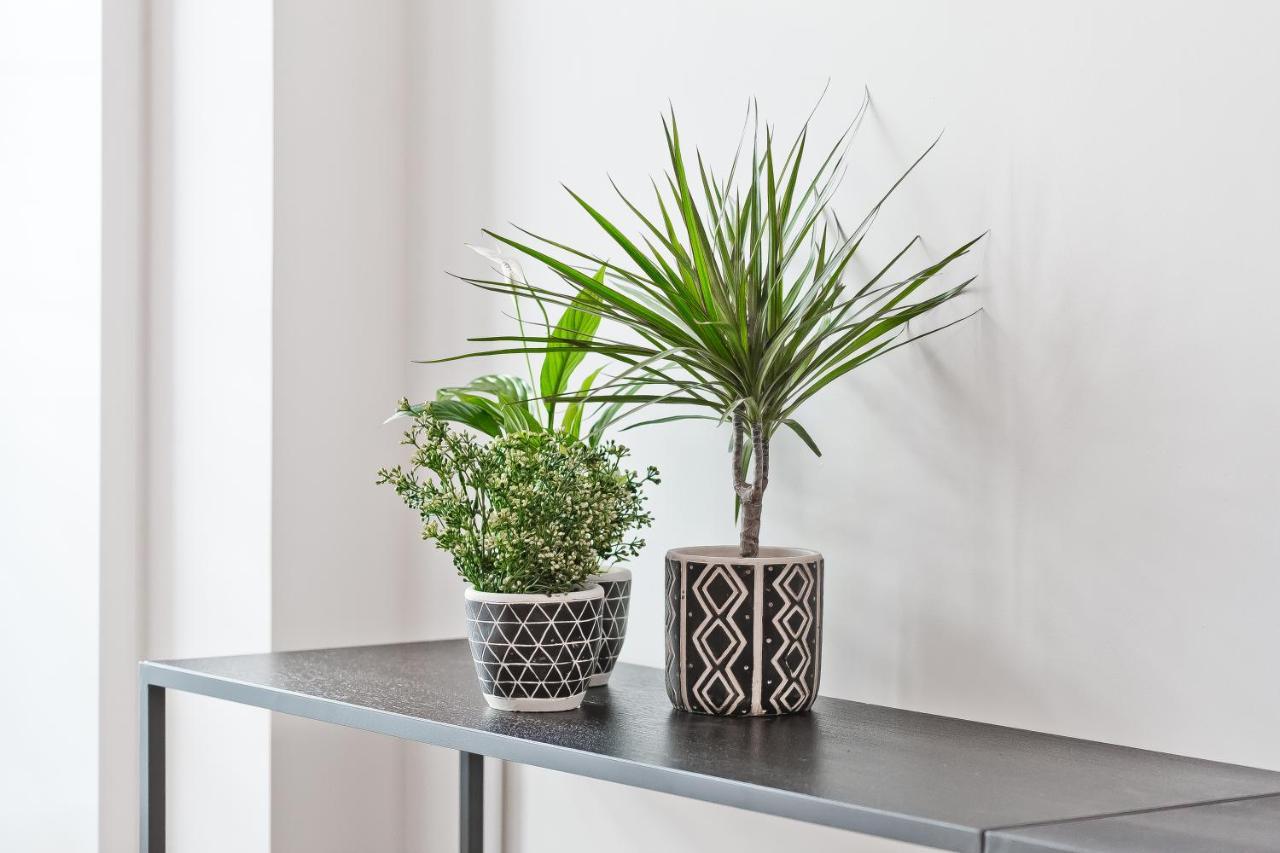 Bag- Boutique Apartment Grey - Hilton Area Αθήνα Εξωτερικό φωτογραφία